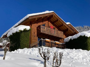 Chalets du Danay Lachat